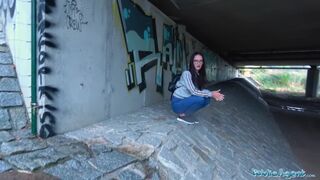 Public Agent - what are you doing under the bridge ?