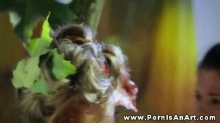 2 steaming femmes munching her vagina outdoors